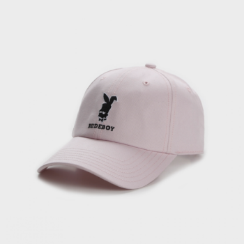Cayler & Sons WL Rude Snapback pink 20 Euro