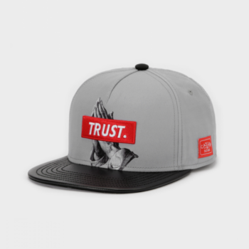 Cayler & Sons WL Trust Snapback grey 27 Euro